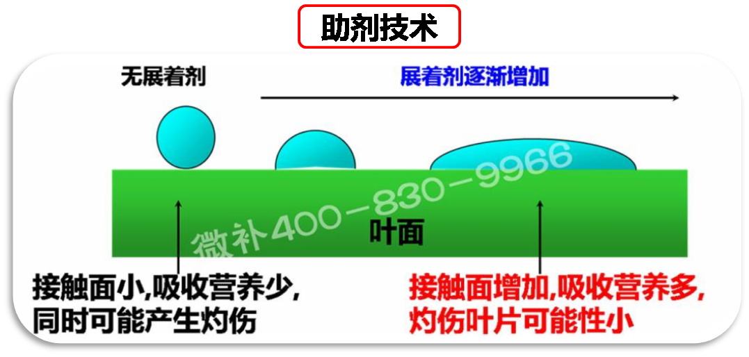 余教授德國鄉(xiāng)村行：我在德國為什么不會點啤酒了？